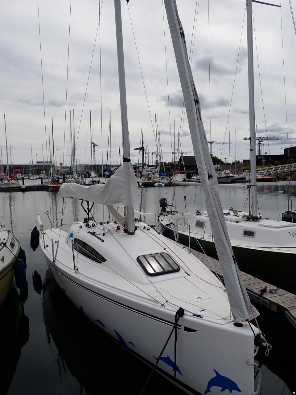 Elan 210