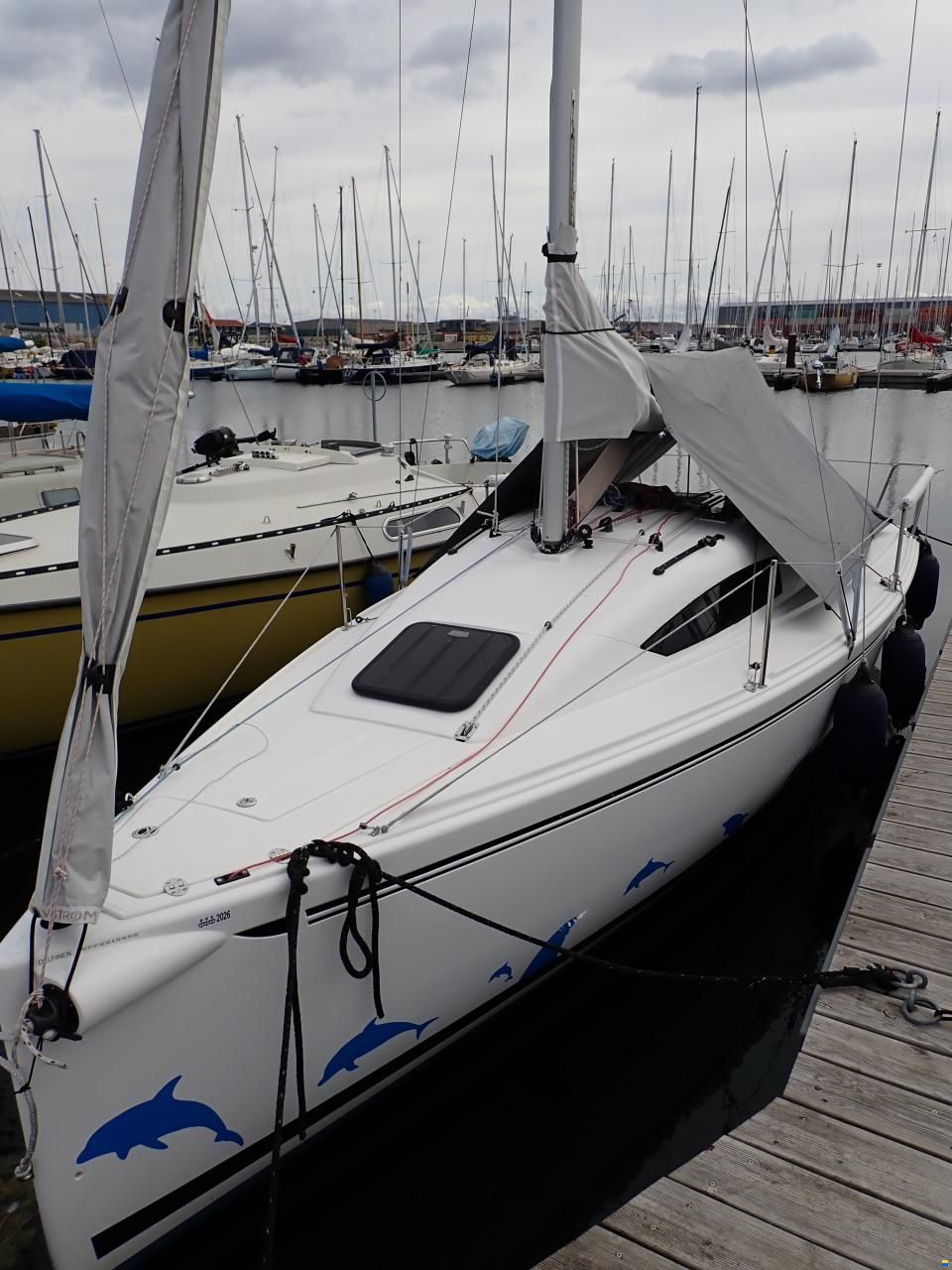 Elan 210