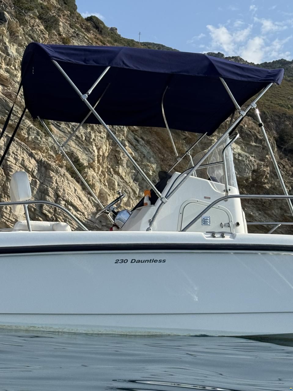 Boston Whaler Dauntless 230