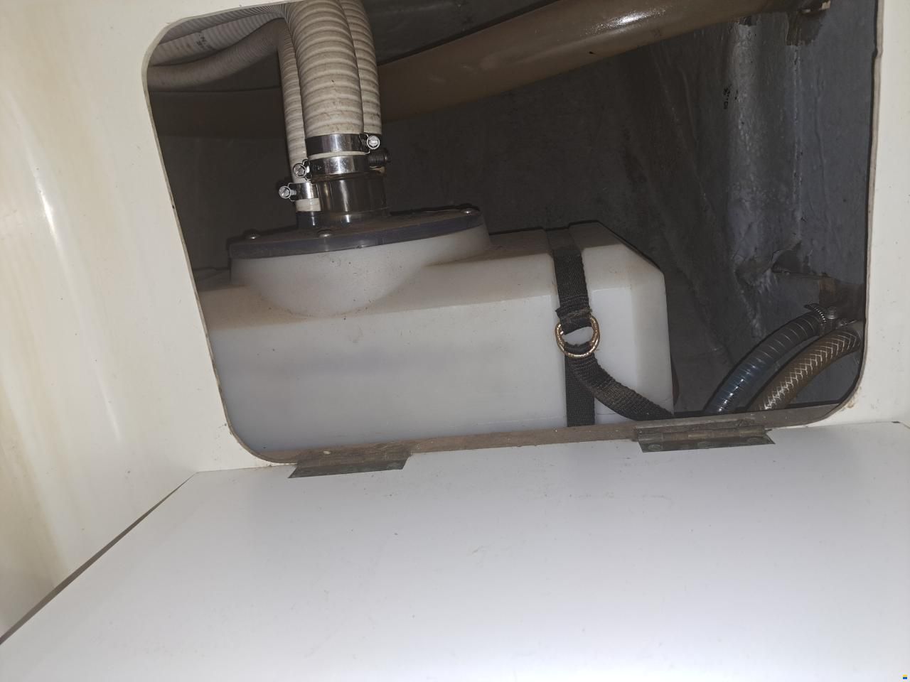 Westerly Longbow 31