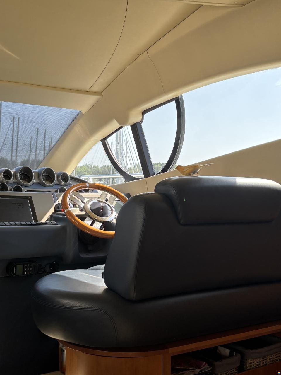 Azimut 50