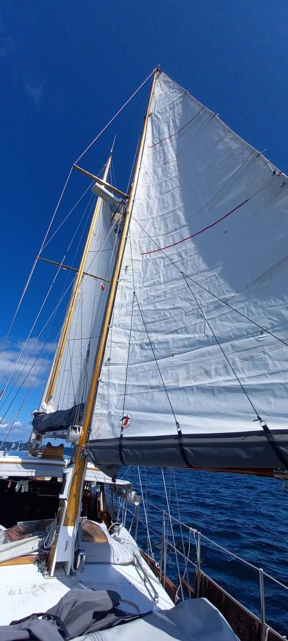 De Vries Fortuna 41