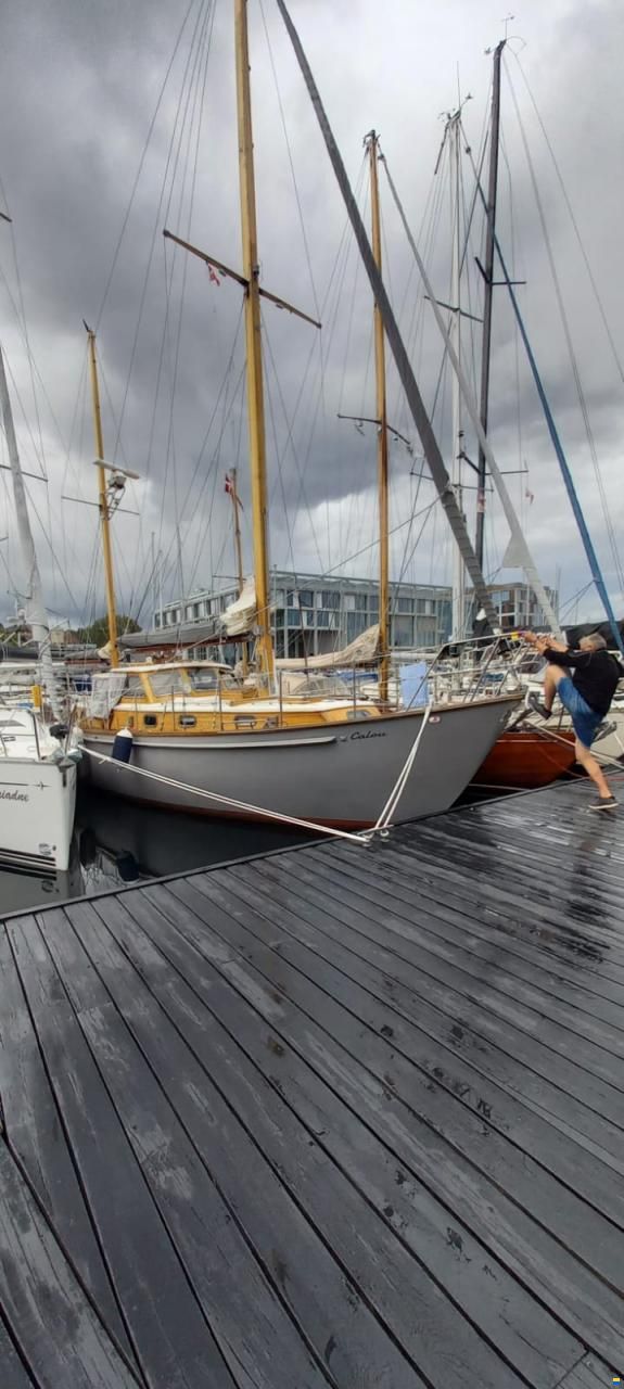 De Vries Fortuna 41