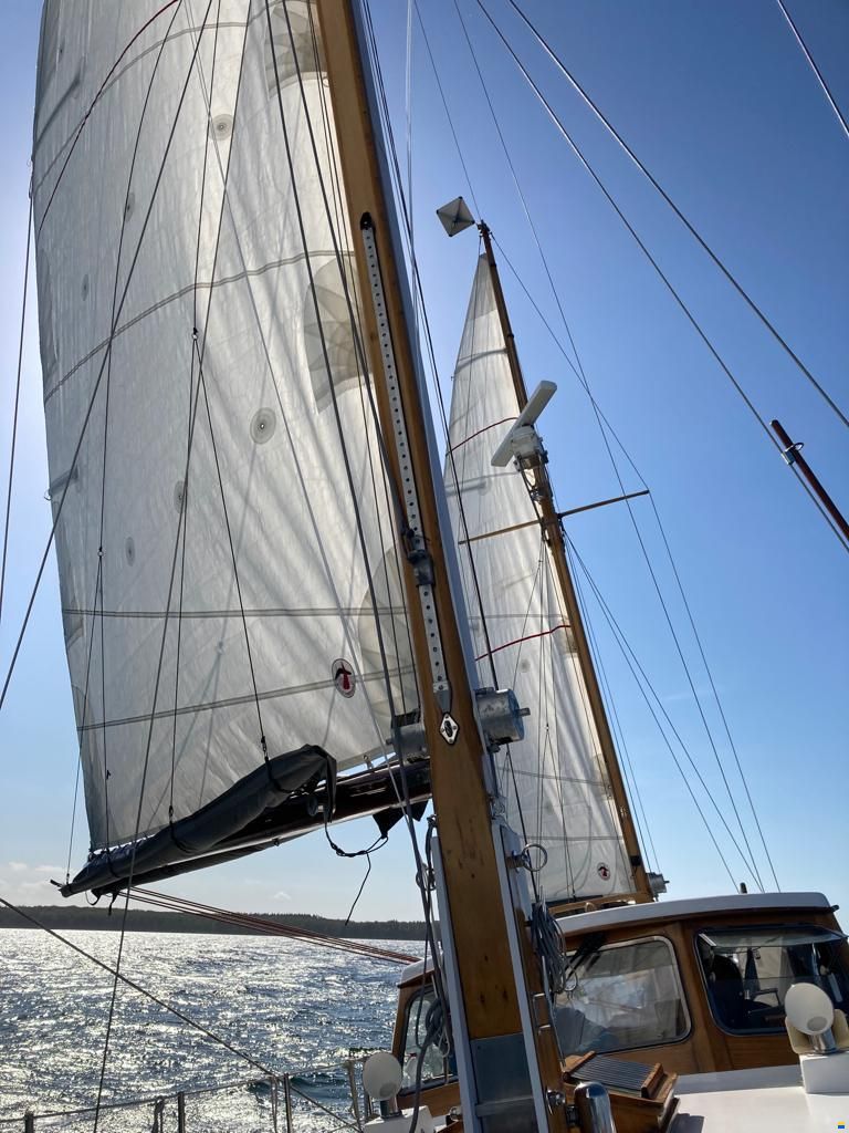 De Vries Fortuna 41