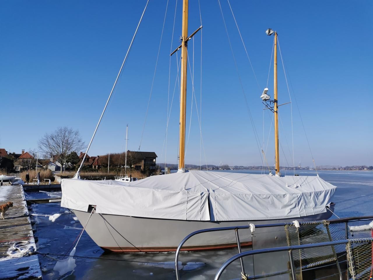 De Vries Fortuna 41