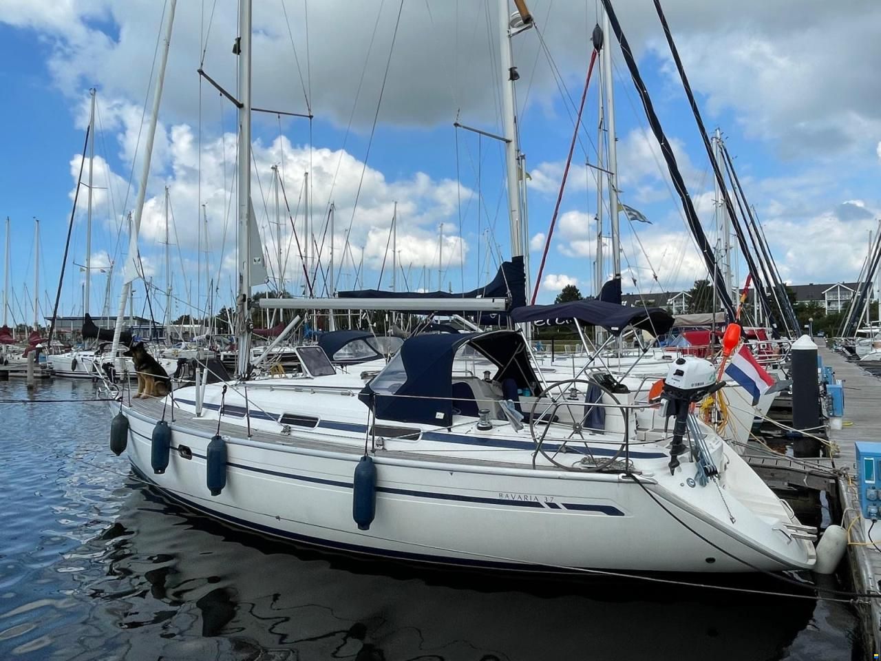 Bavaria 37