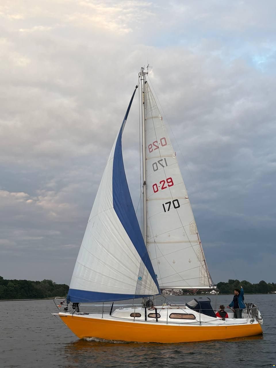 Artekno Ohlson 29