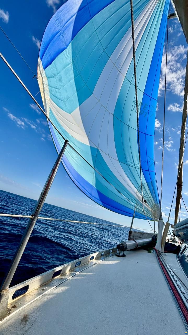 Beneteau First 38