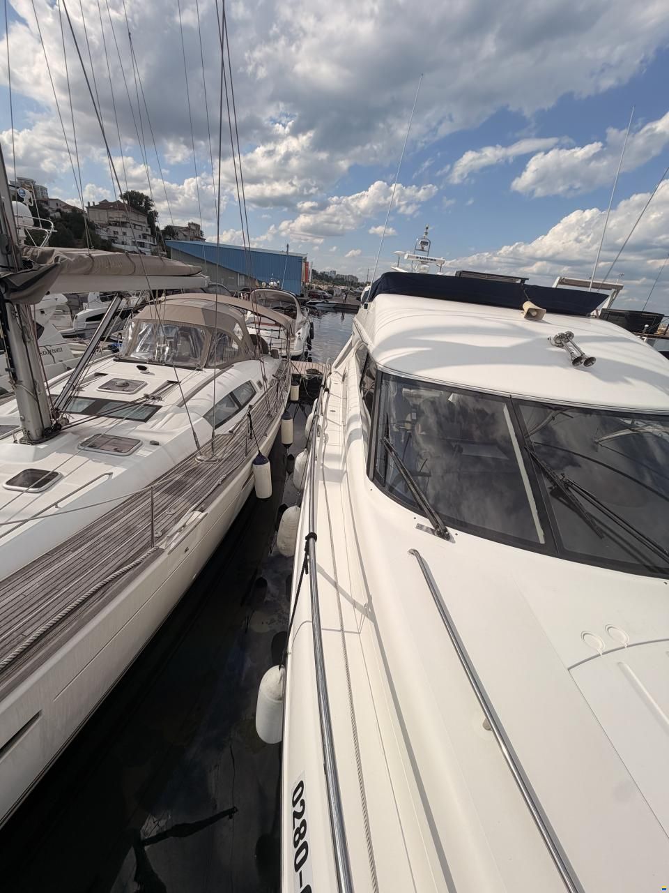 Princess 50
