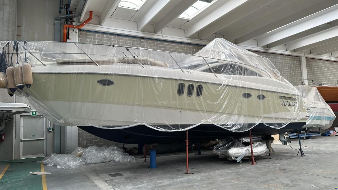 Absolute 41
