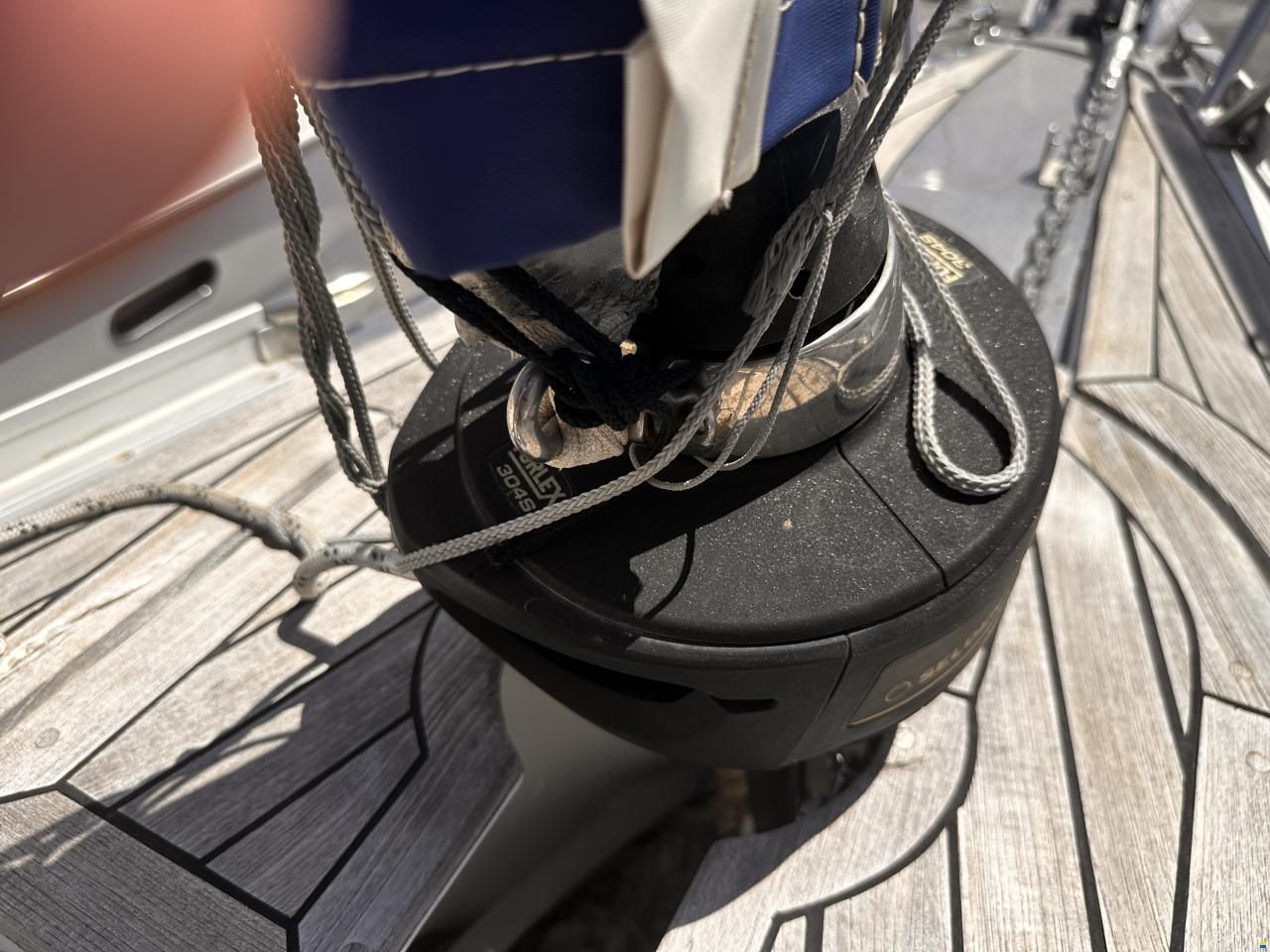 Shark 50