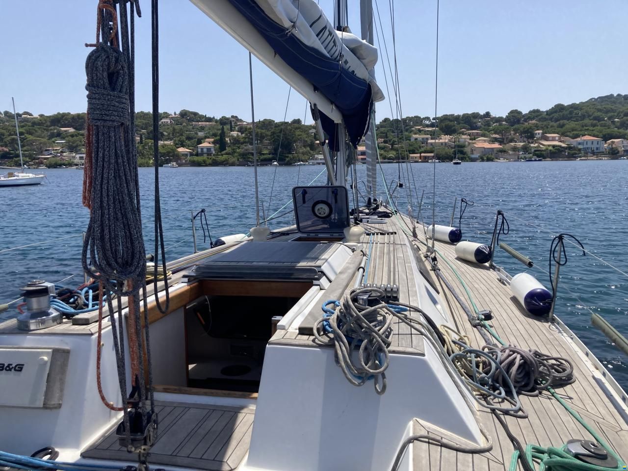 Shark 50