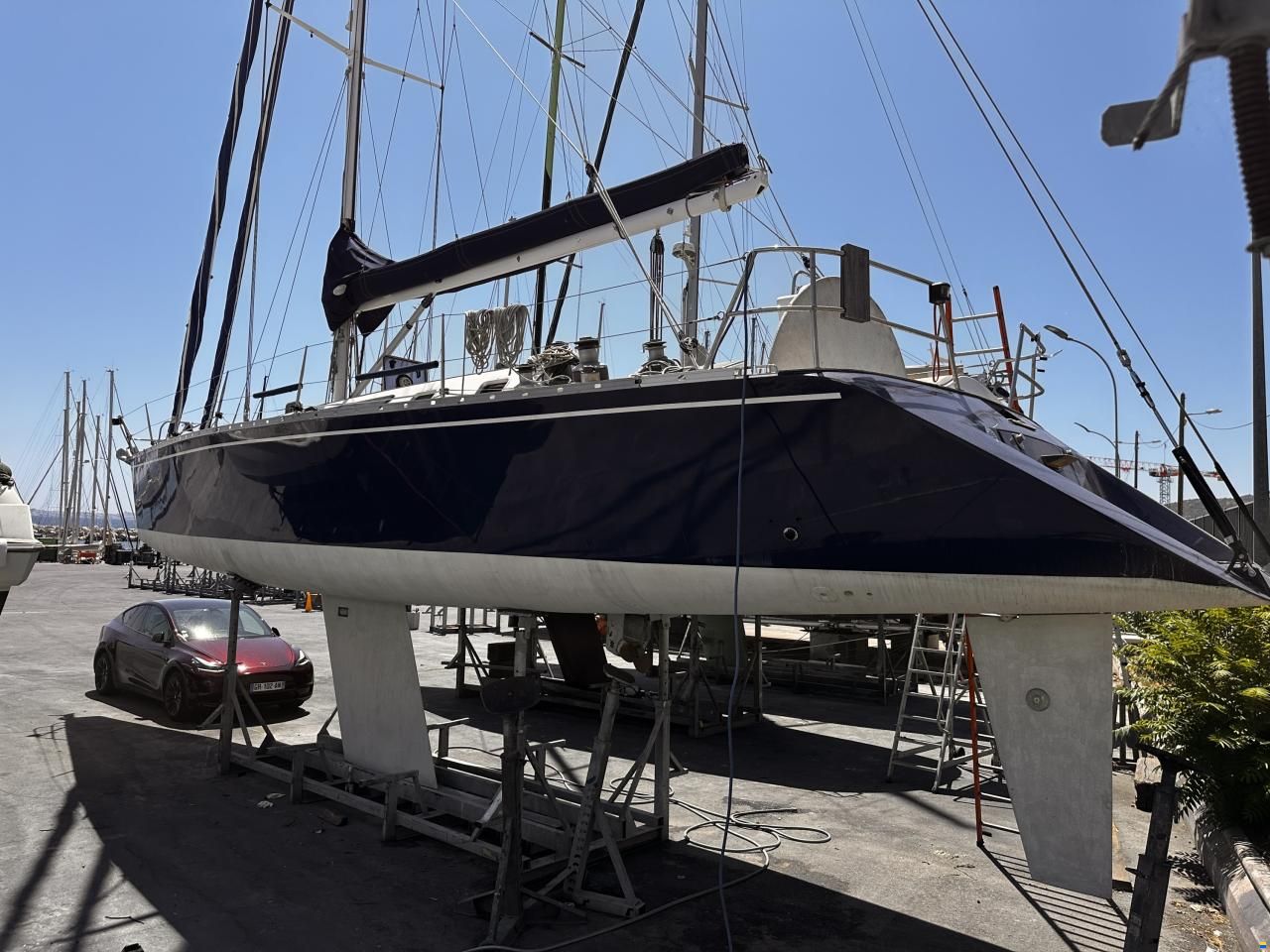 Shark 50