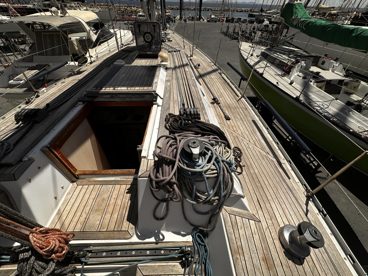 Shark 50