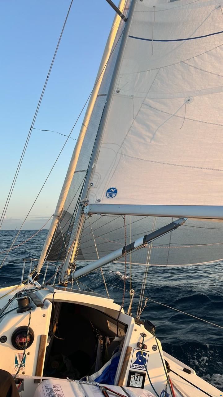J Boats J/80