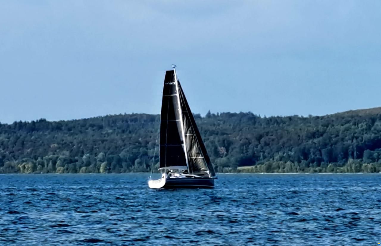 Elan 310