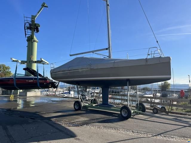 Elan 310