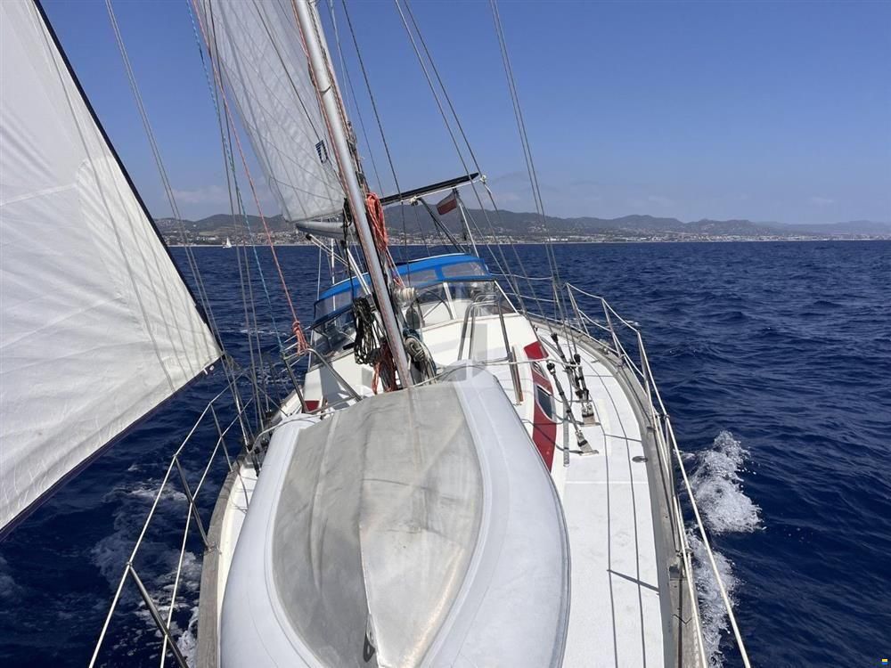 Aphrodite 42