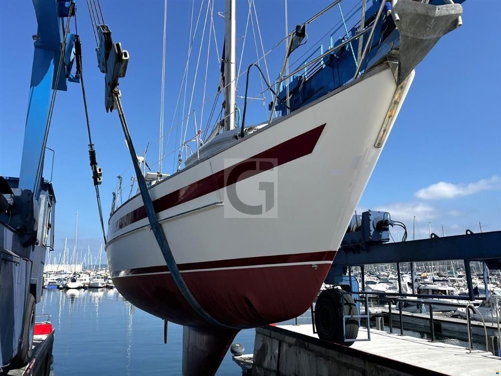 Aphrodite 42