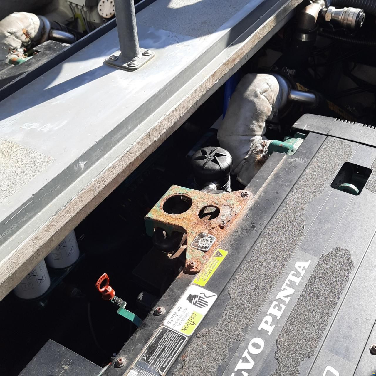 Diesel Rib