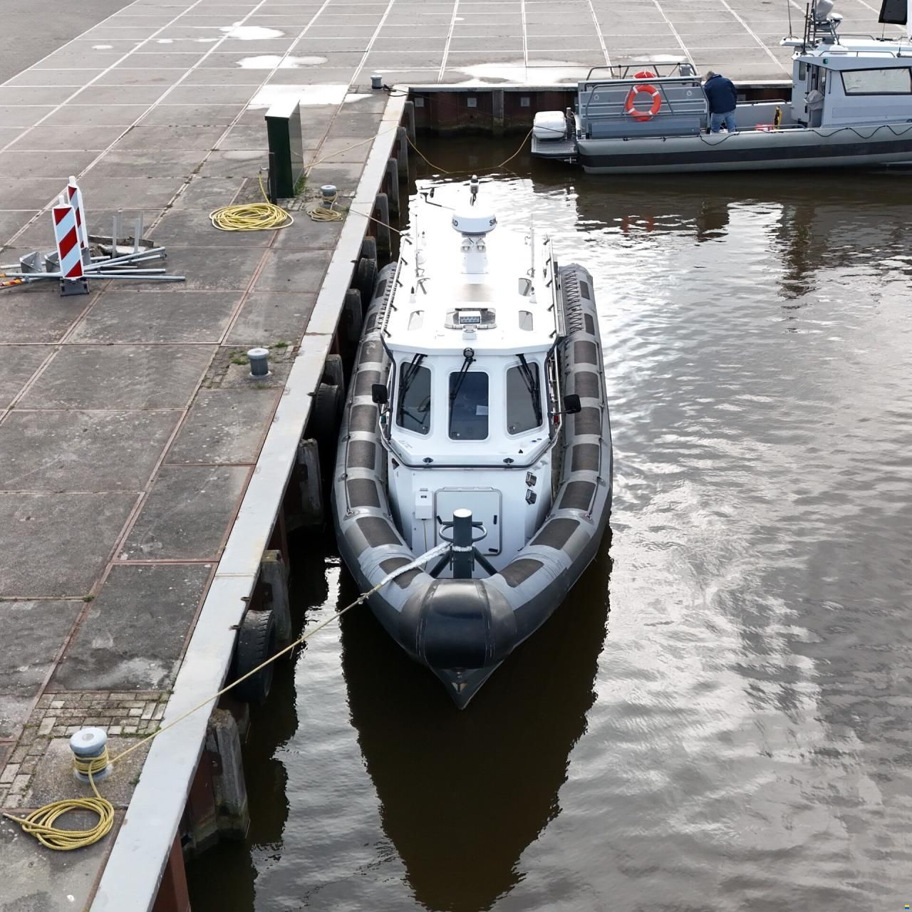 Diesel Rib