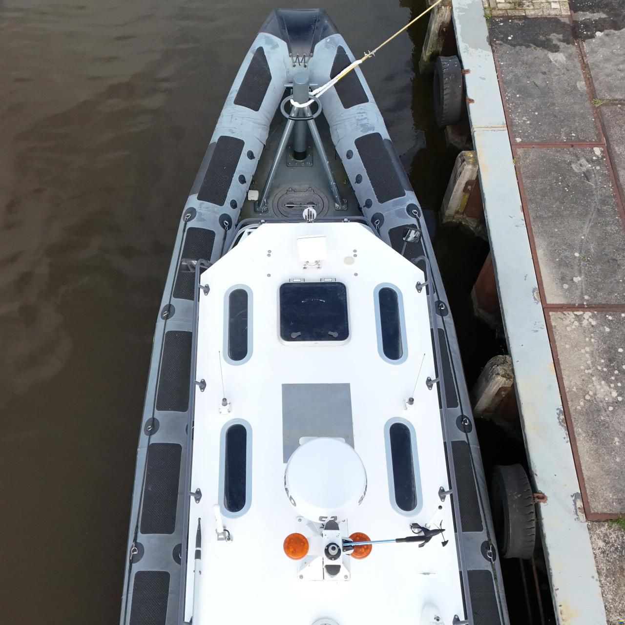 Diesel Rib
