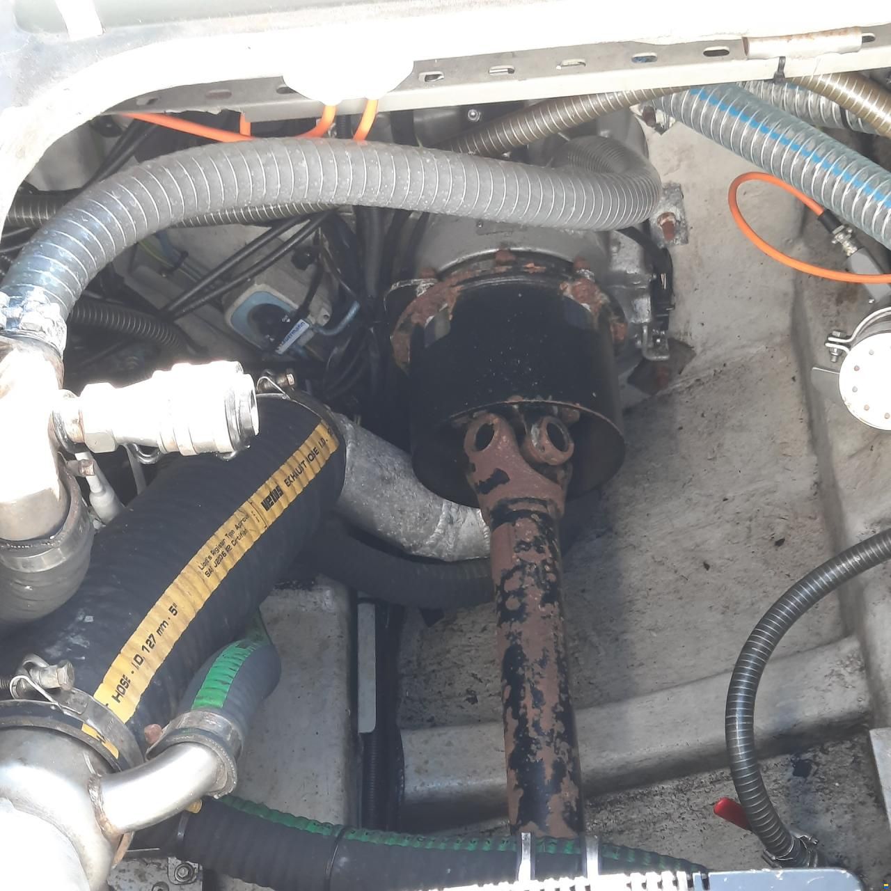 Diesel Rib