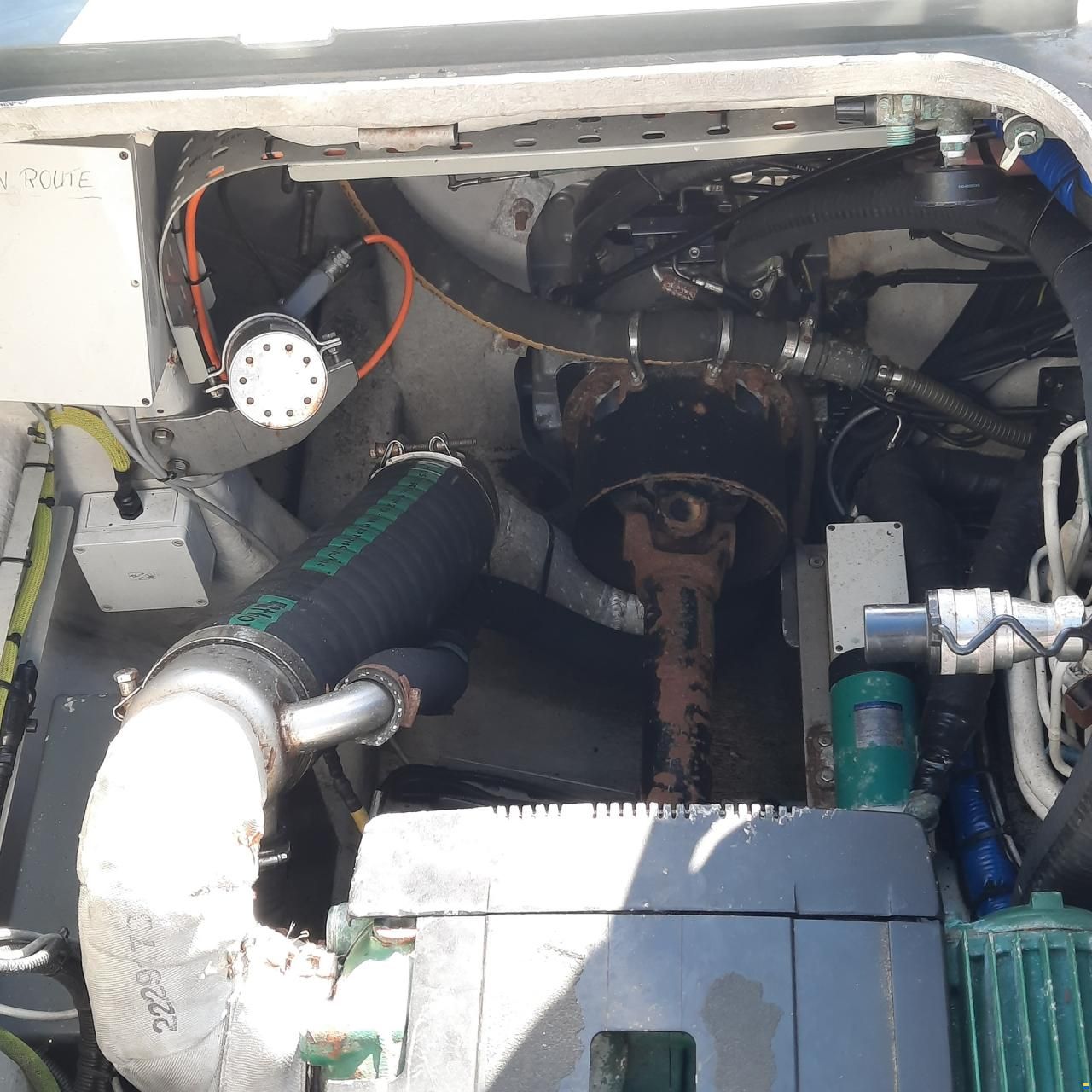 Diesel Rib