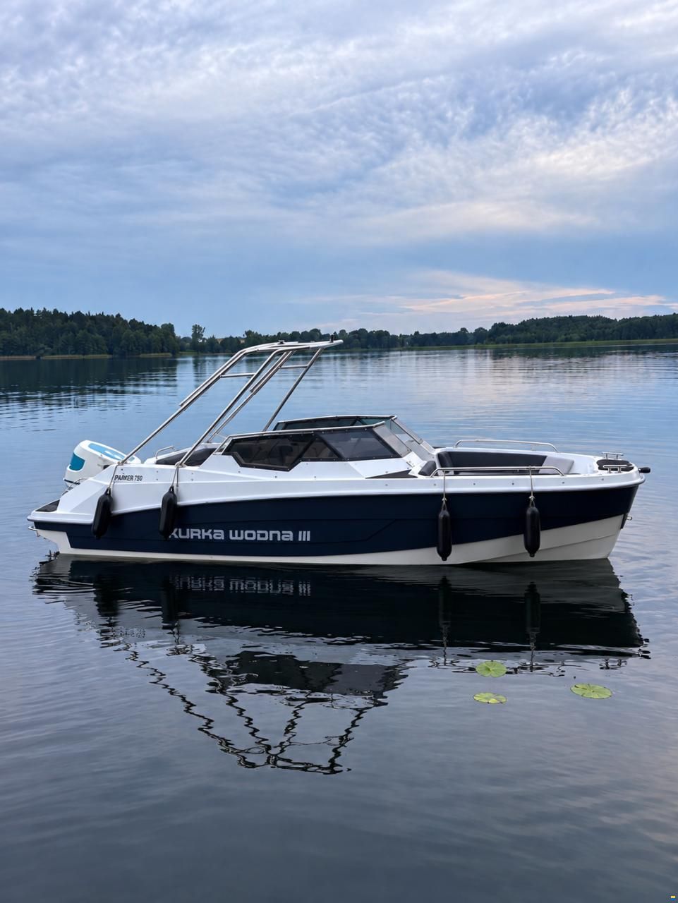 Endorphin Electric Husaria 570