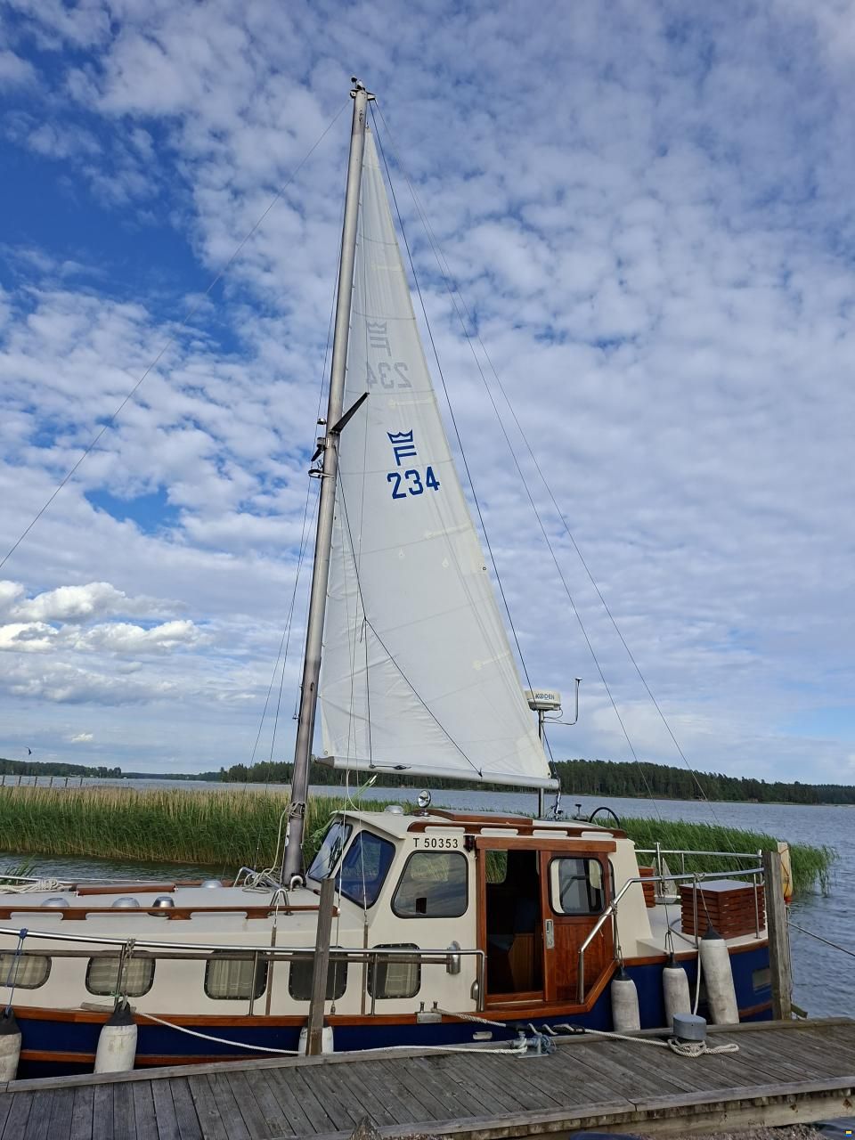 Finnsaurus 34
