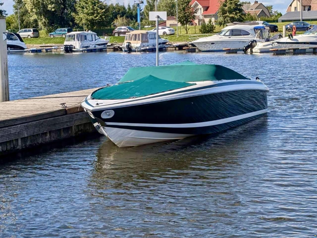 Cobalt 262