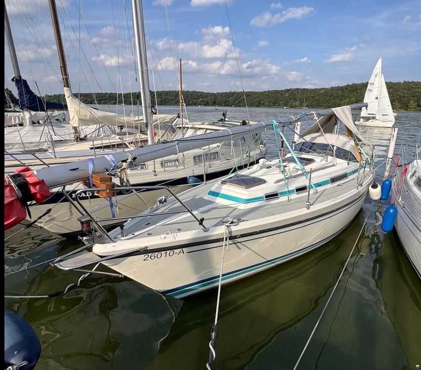 LM Mermaid 290