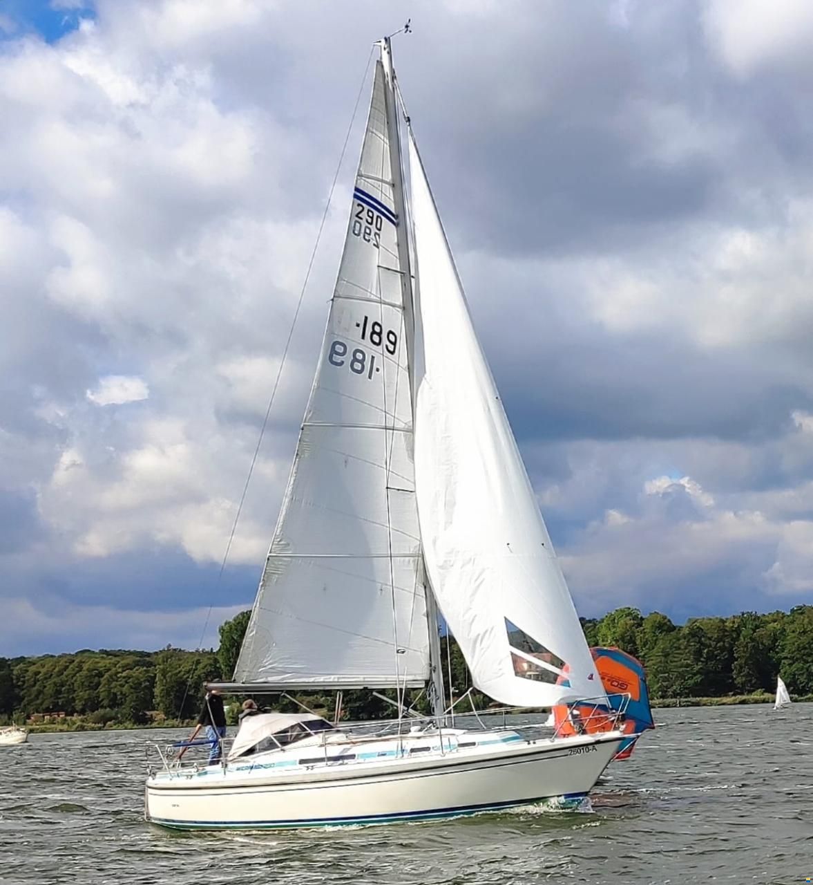 LM Mermaid 290