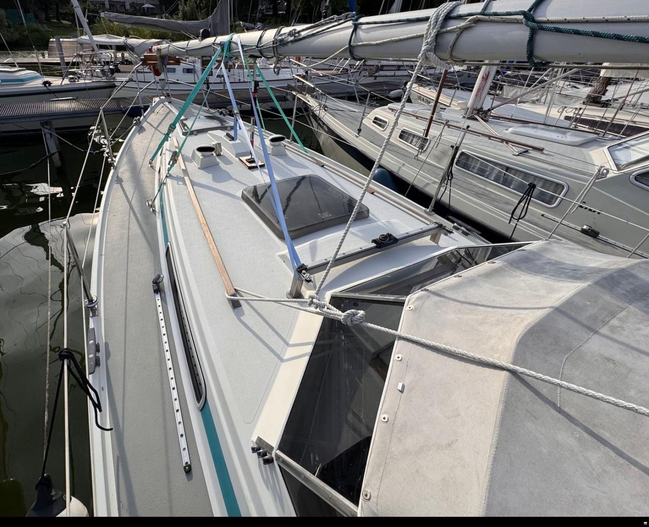 LM Mermaid 290