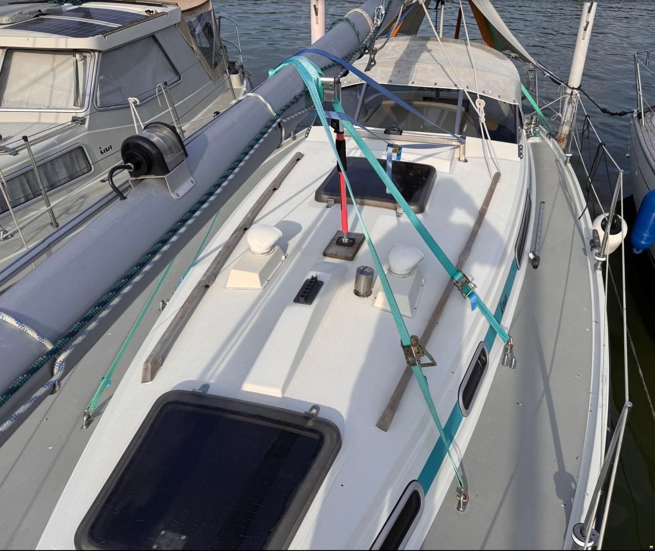 LM Mermaid 290