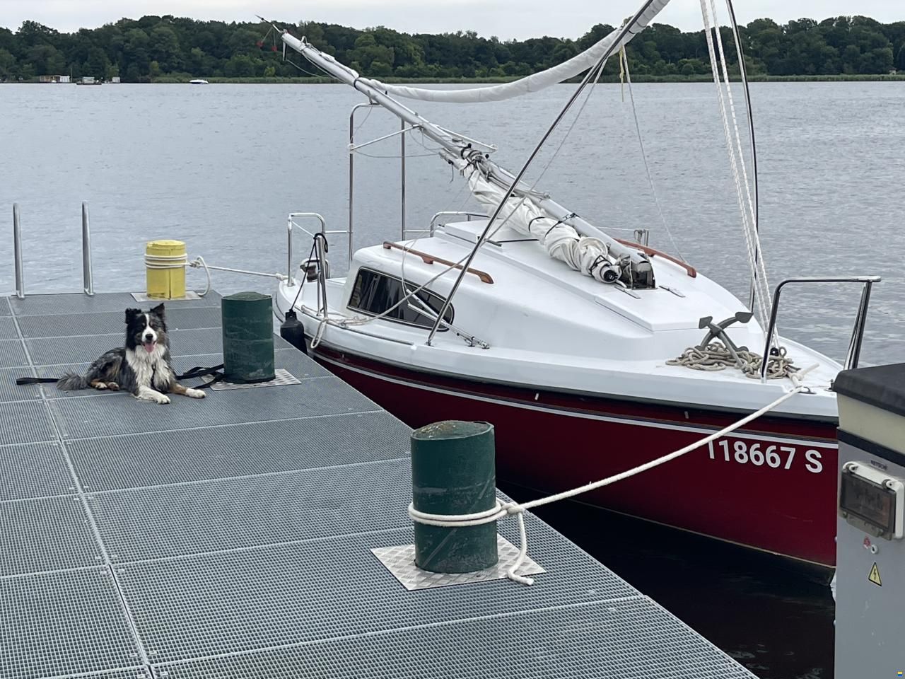 Eikboom 15er Jollenkreuzer Greif 650
