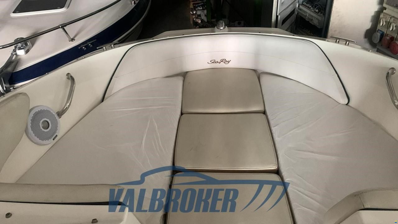Sea Ray 190 SPX
