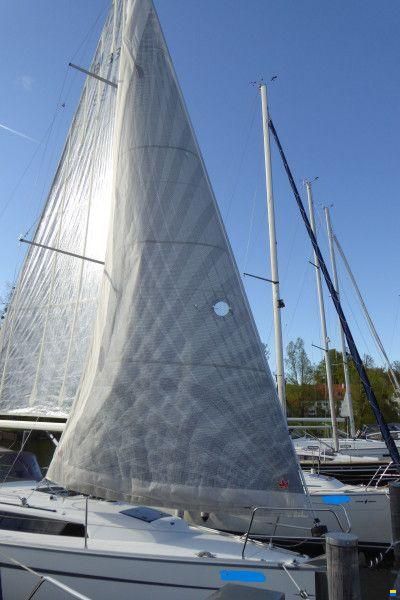 Cruiser 33