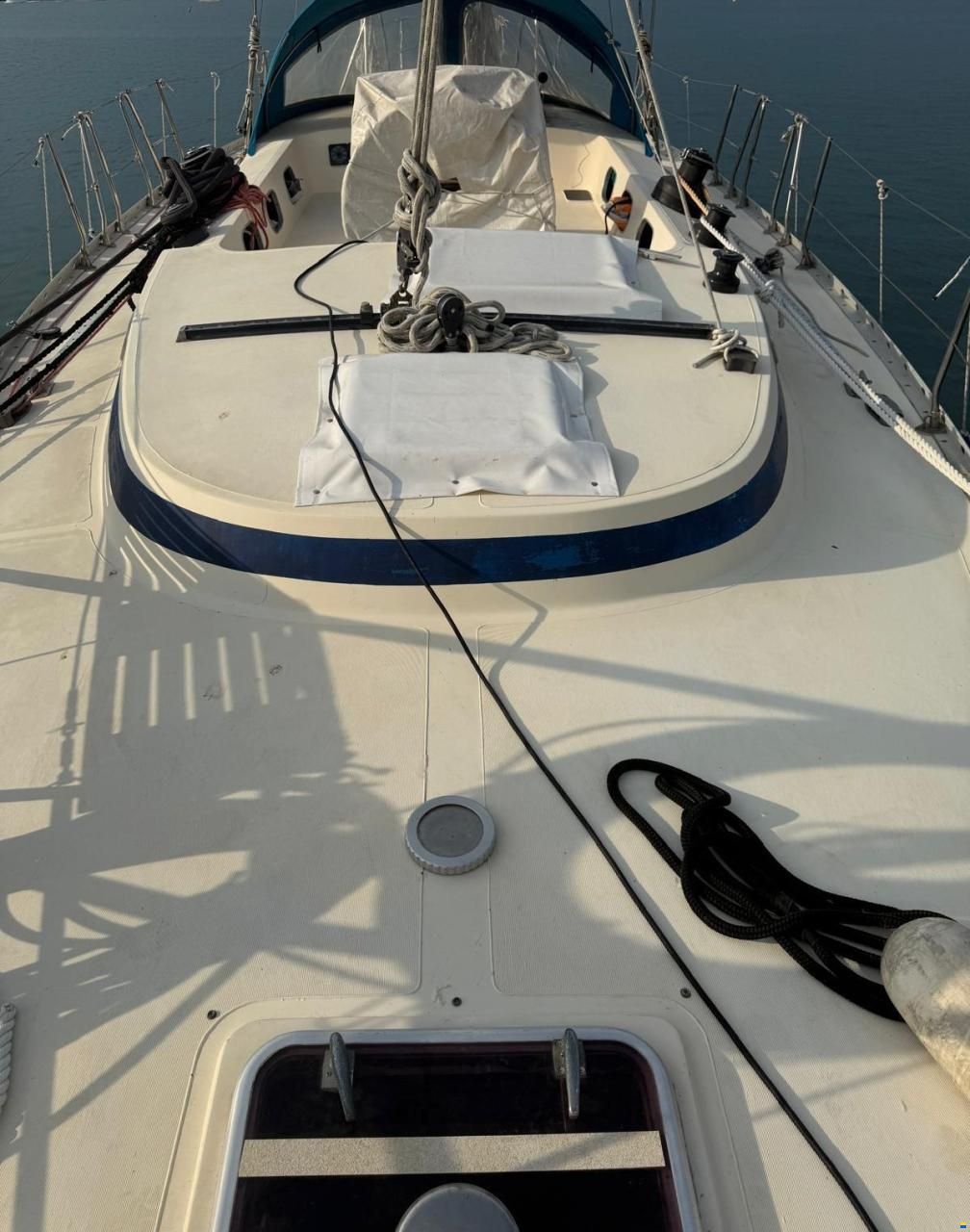 RPD Nelson 46