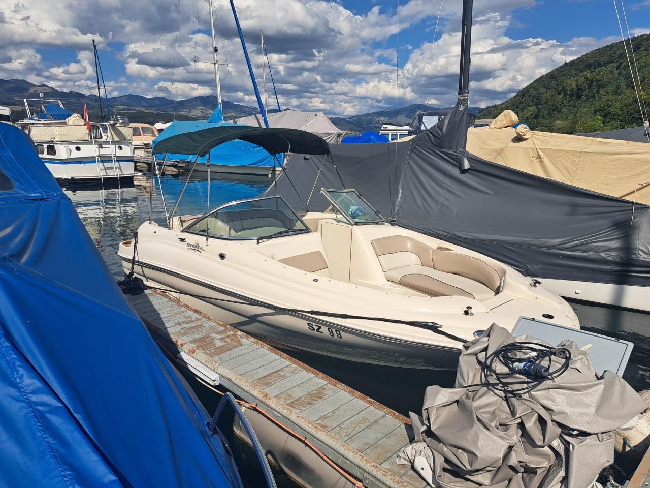 Sea Ray 190 SD