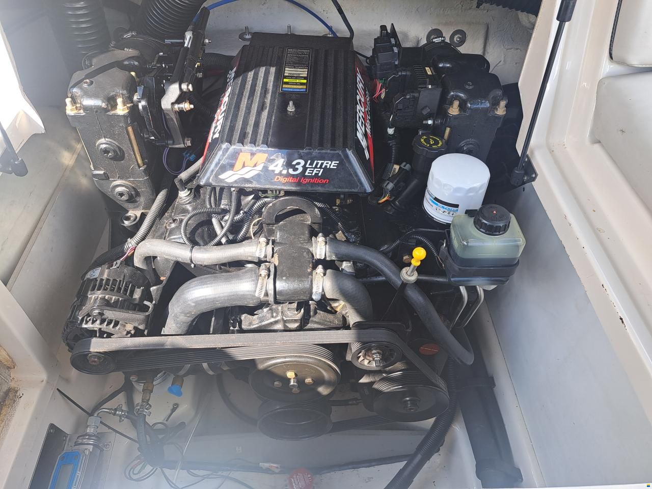 Sea Ray 190 SD