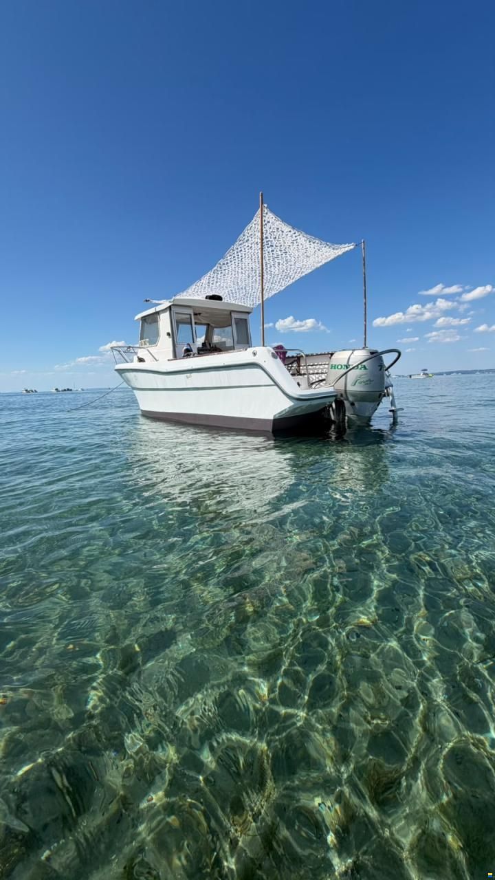 Ocqueteau Fish 610