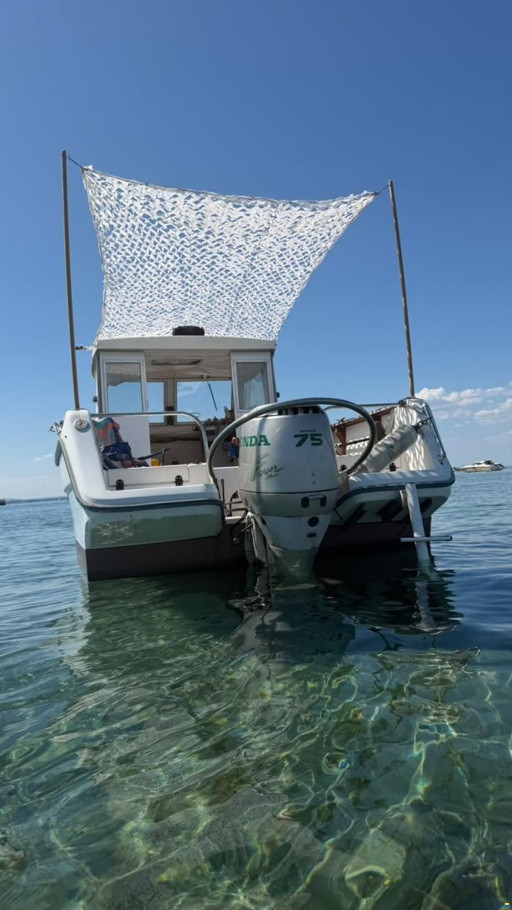 Ocqueteau Fish 610