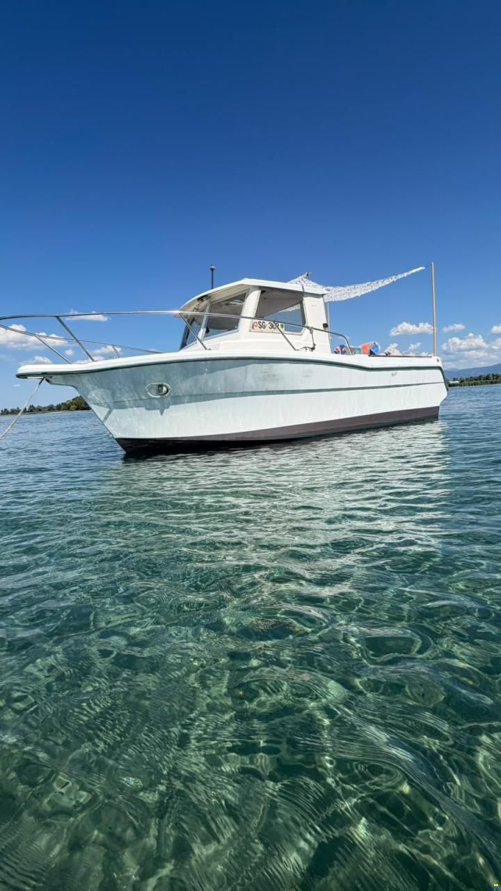 Ocqueteau Fish 610