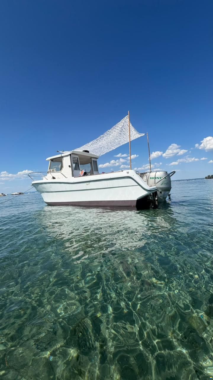 Ocqueteau Fish 610