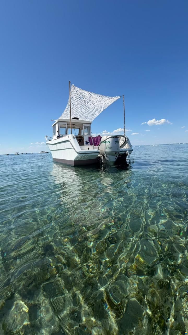 Ocqueteau Fish 610
