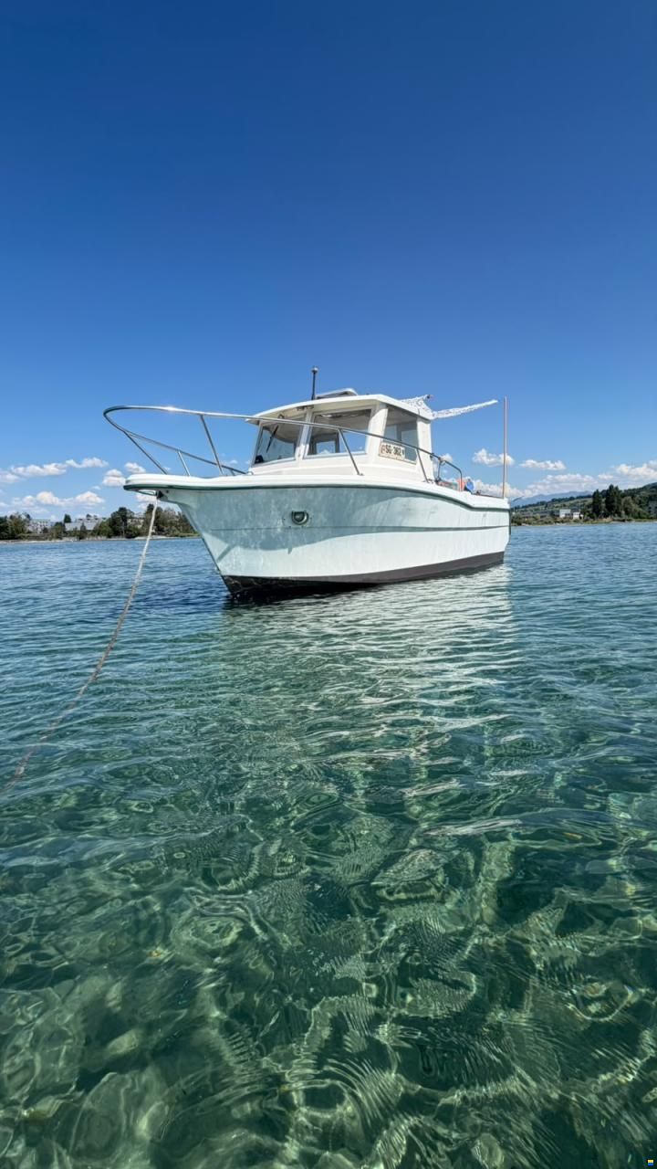Ocqueteau Fish 610