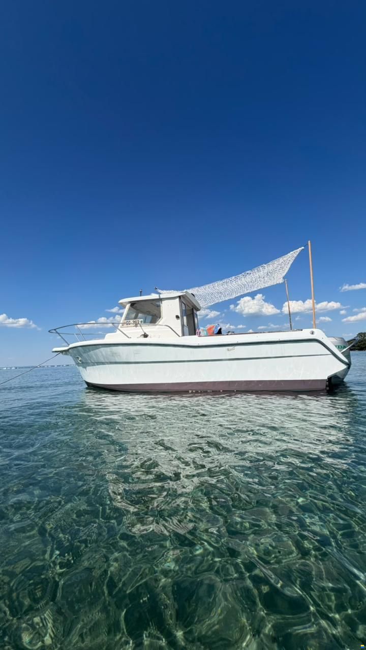 Ocqueteau Fish 610
