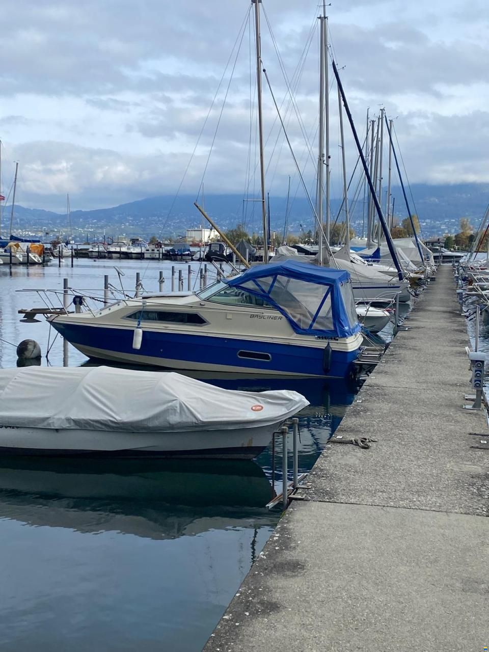 Bayliner Monterey