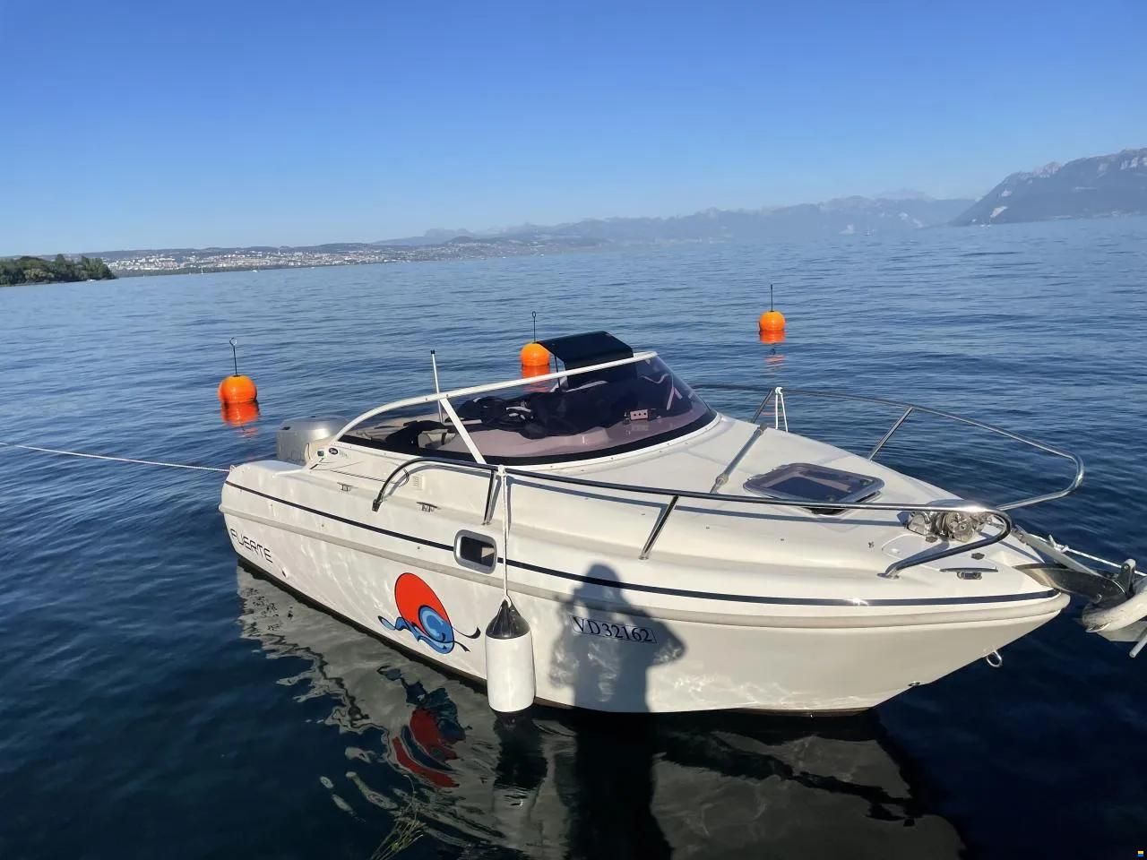 Saver 590